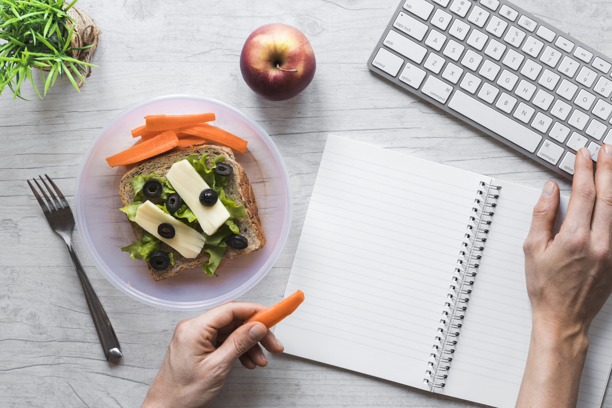 Paleo Diet Beginner’s Guide