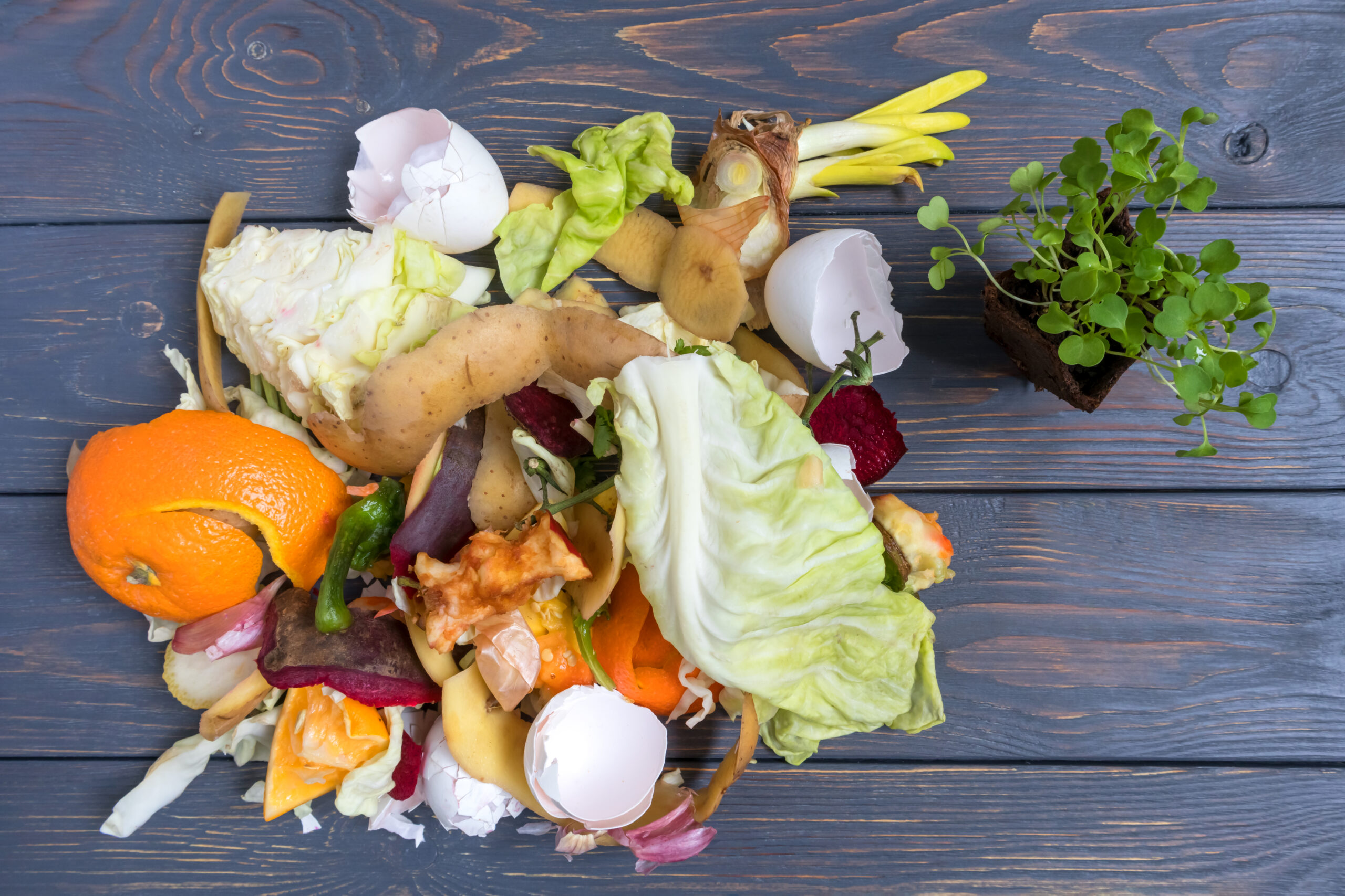 Reducing Food Waste: Strategies for Better Nutrition and Savings